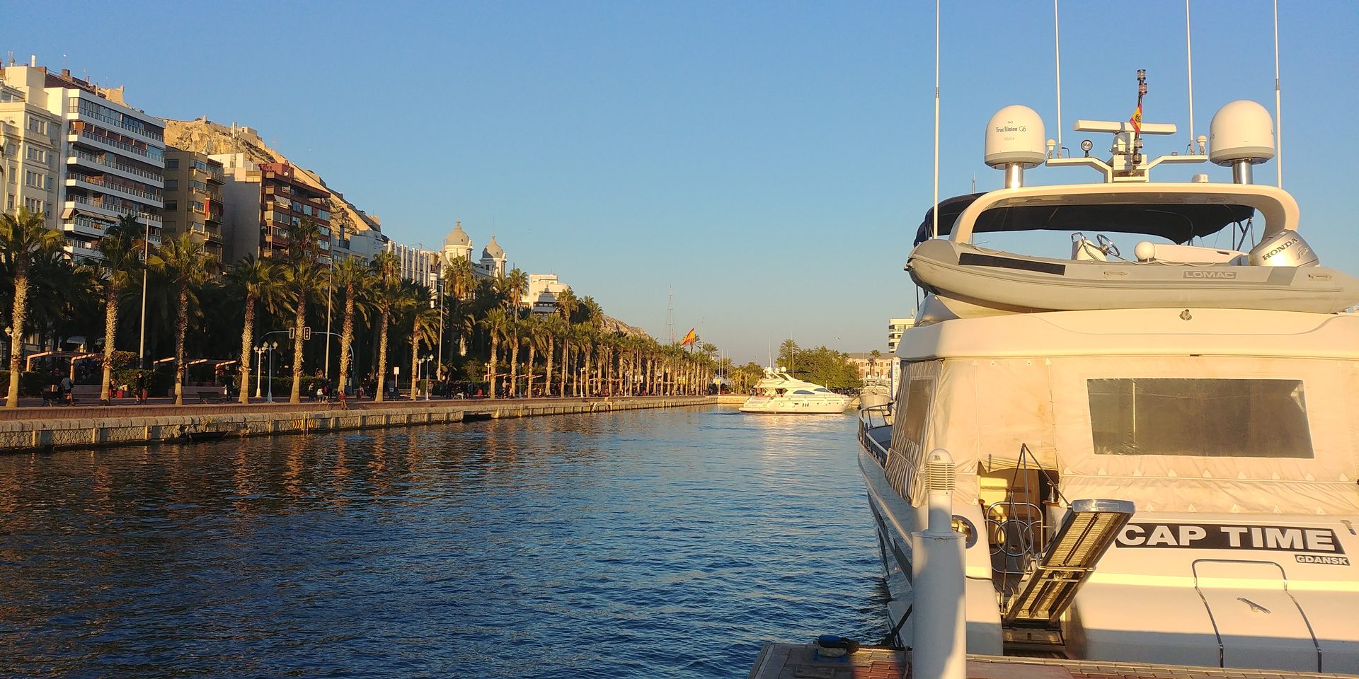 Marina de Alicante — canal palms