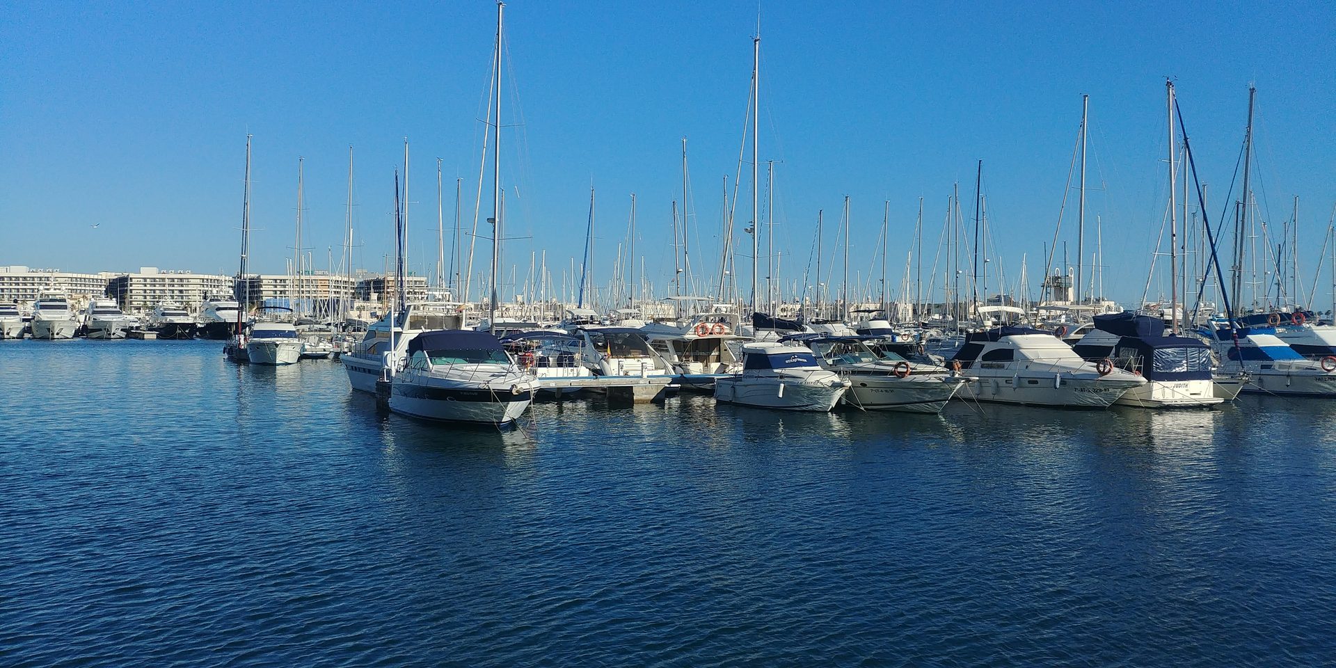 Marina de Alicante — mast forest