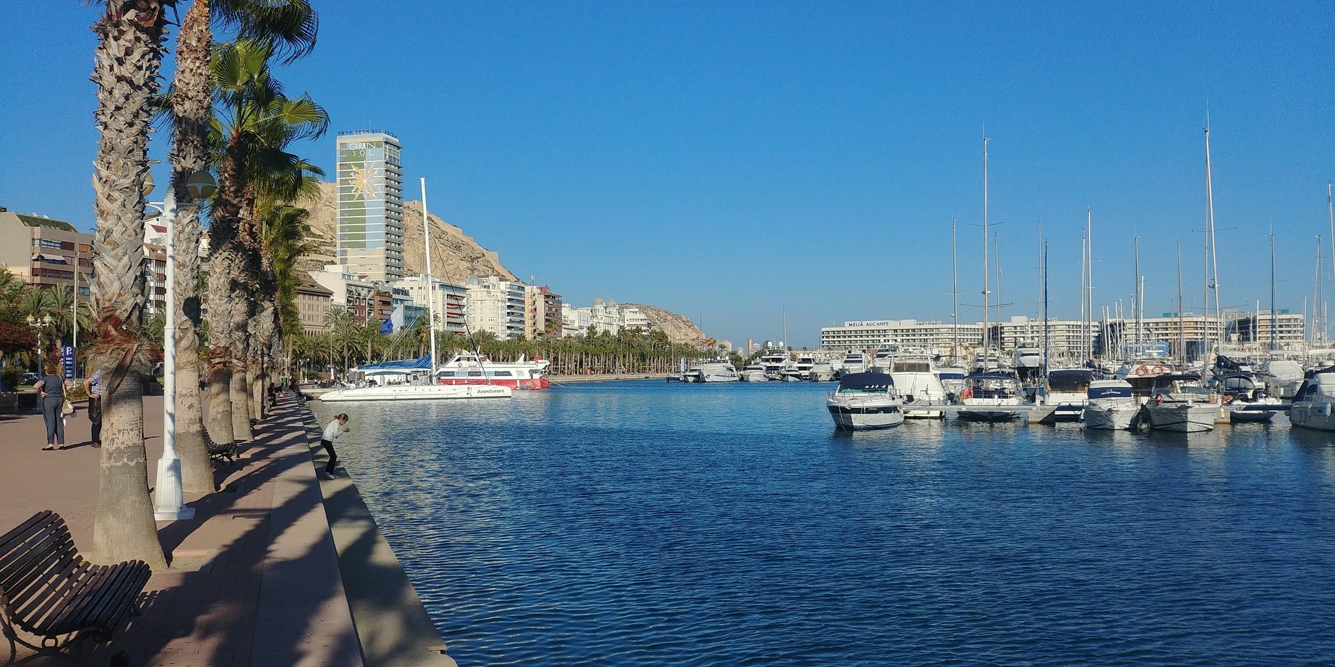 Marina de Alicante — promenade palms