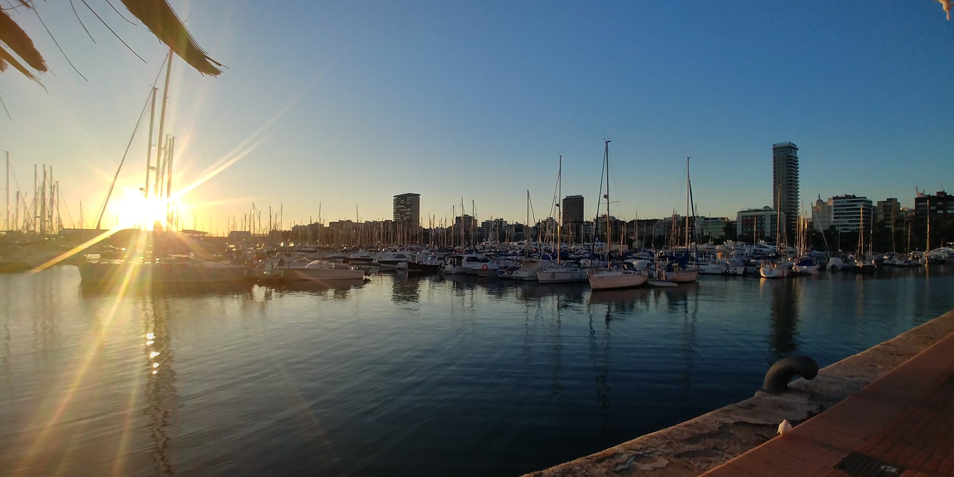 Marina de Alicante — sunset masts