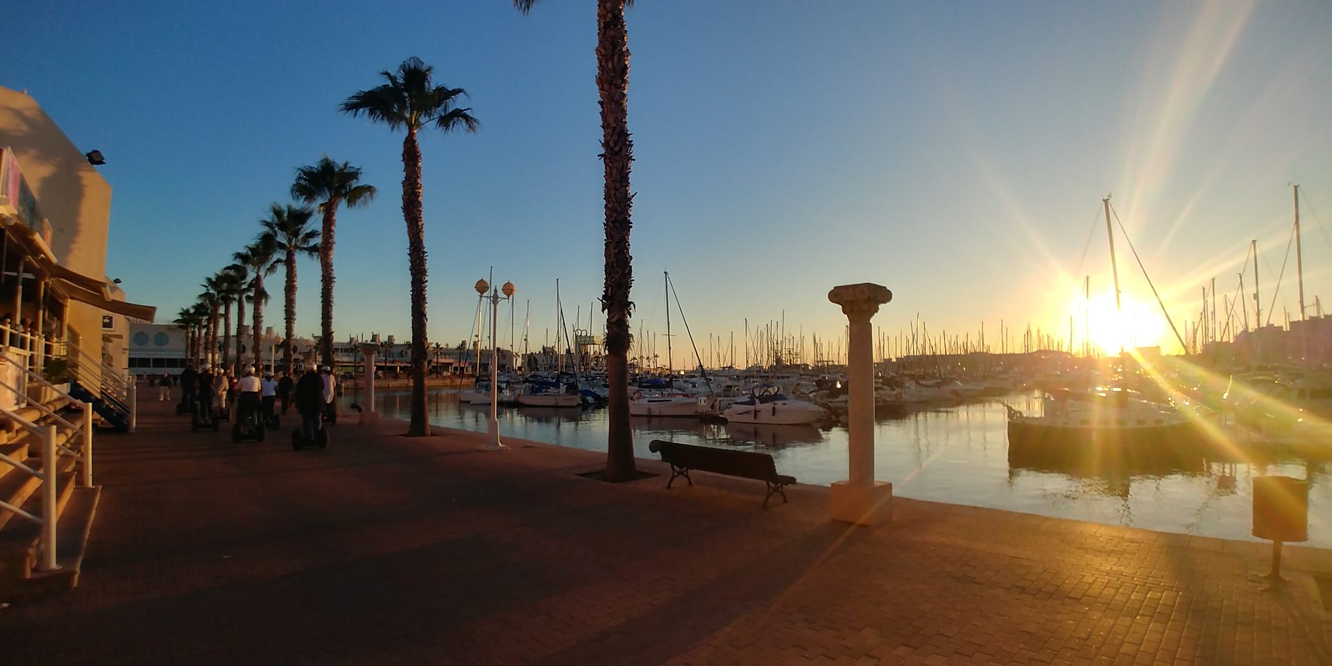 Marina de Alicante — sunset palms