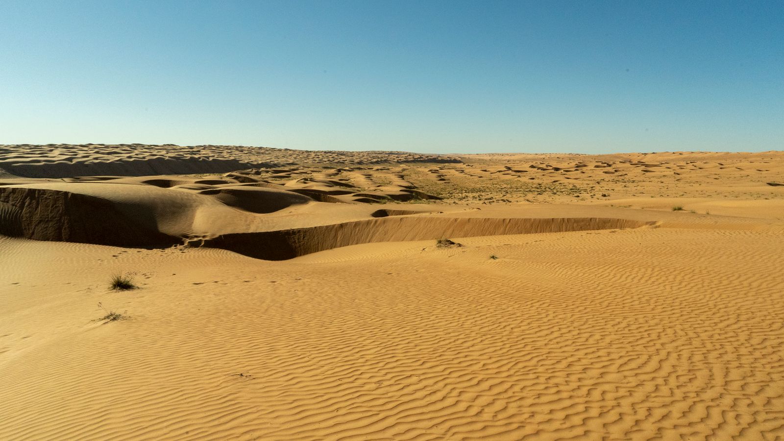 Rippled sand dunes of the Arabian desert under a clear blue sky
