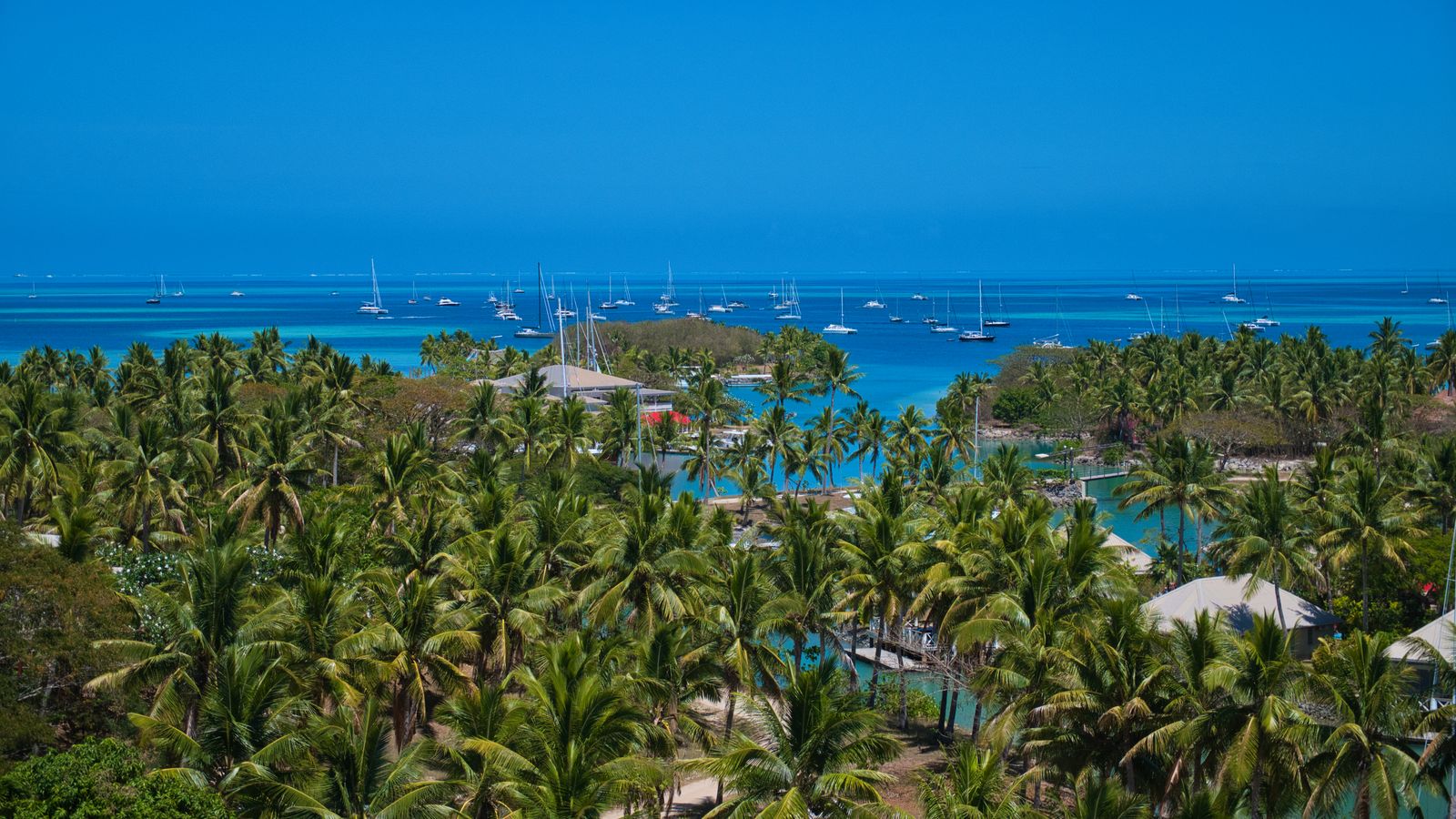 Yachts at anchor in a palm-fringed lagoon in the Mamanuca Islands, Fiji