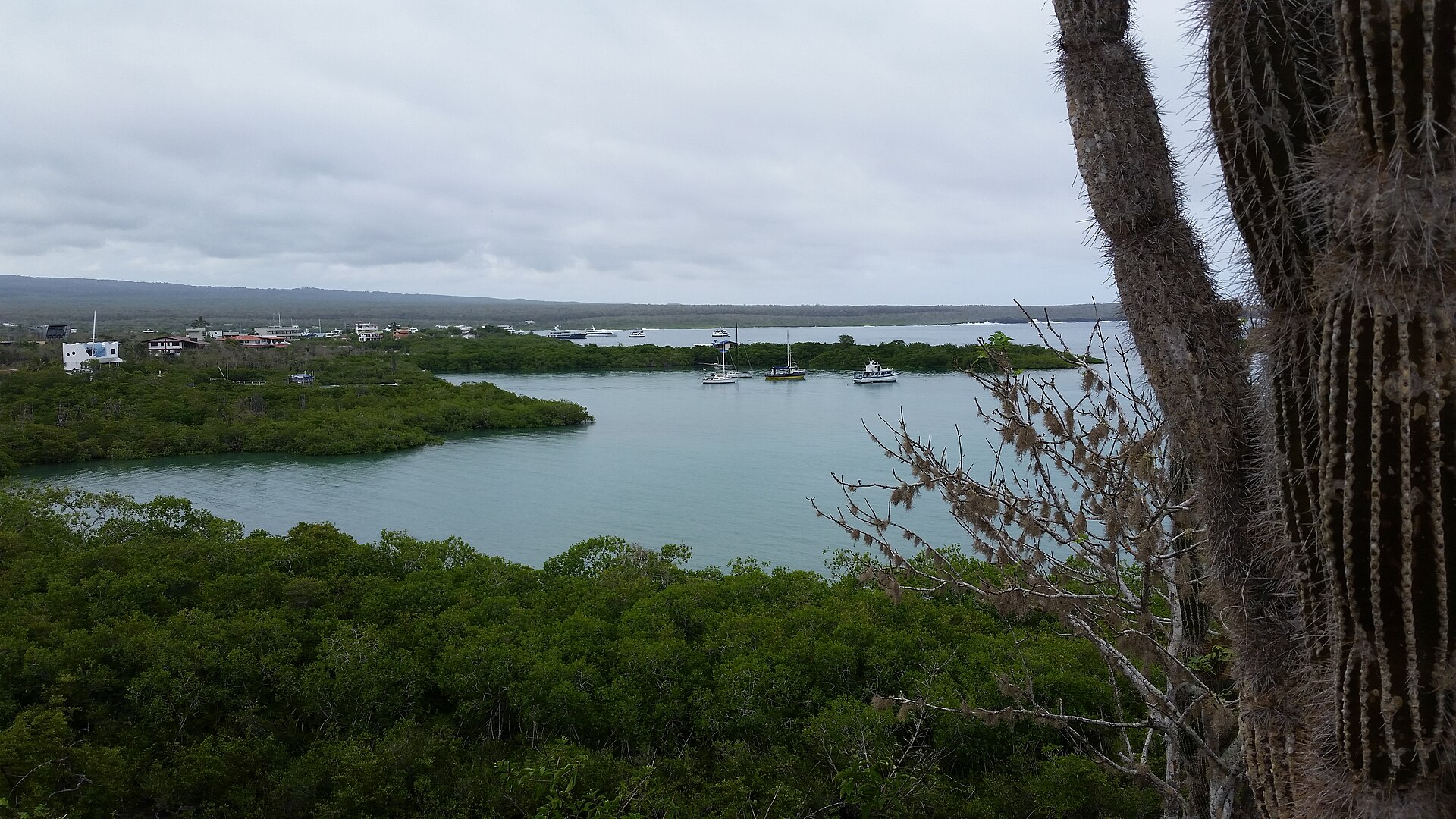 Boats at anchor in Academy Bay off Puerto Ayora, Santa Cruz