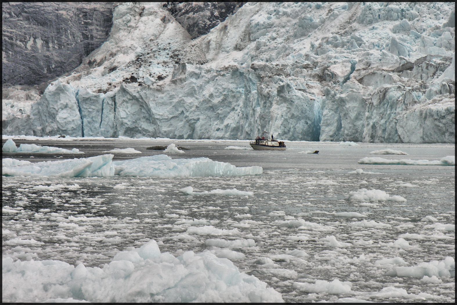 Calving front of the Eqip Sermia (Eqi) glacier, Greenland