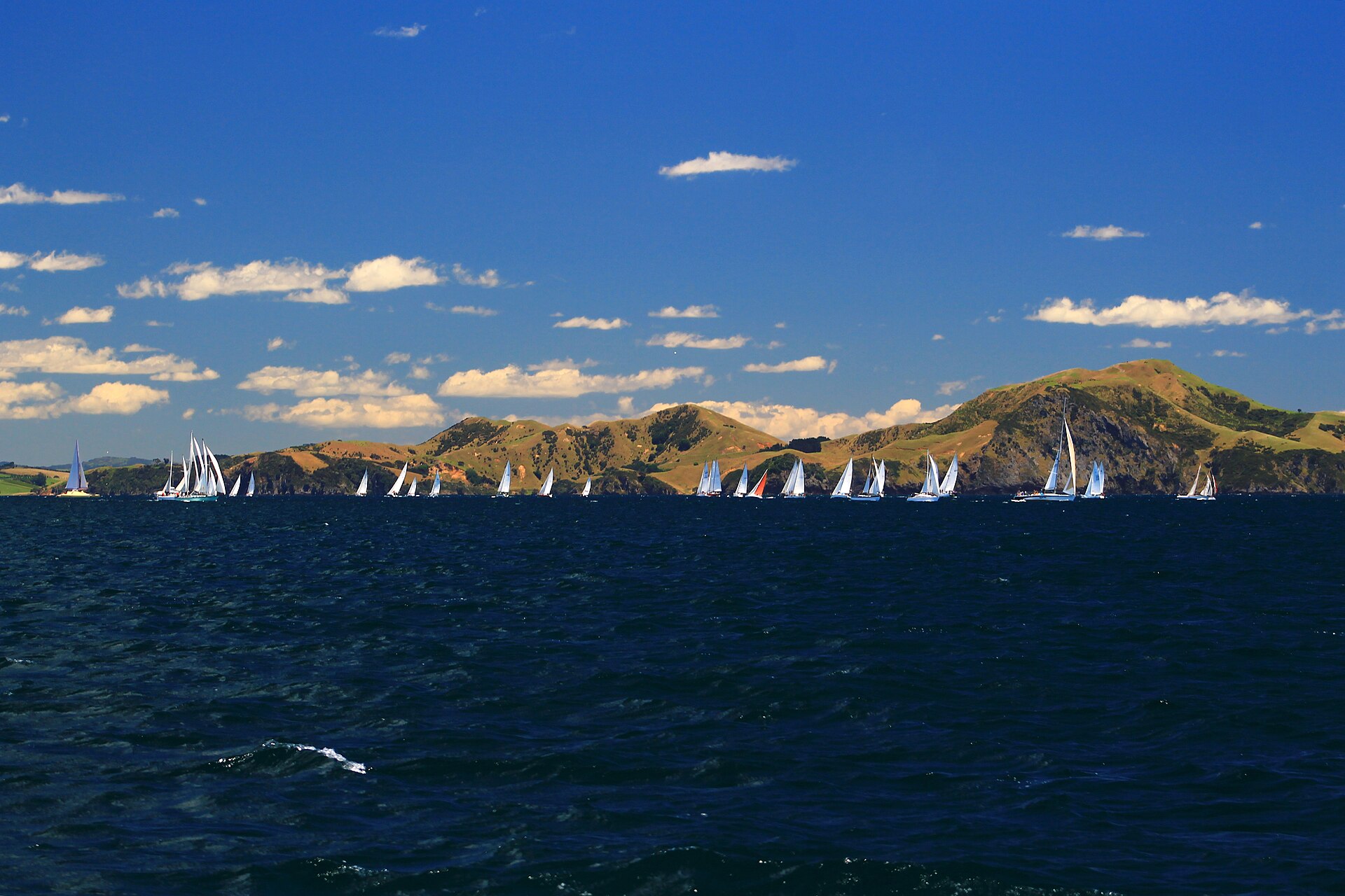 A fleet of yachts racing off the Purerua Peninsula, Bay of Islands