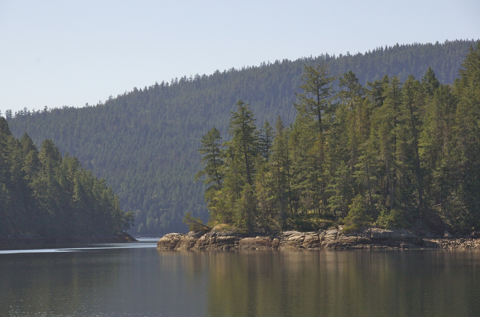 Grace Harbour's forested, fully sheltered shoreline in Desolation Sound Marine Park
