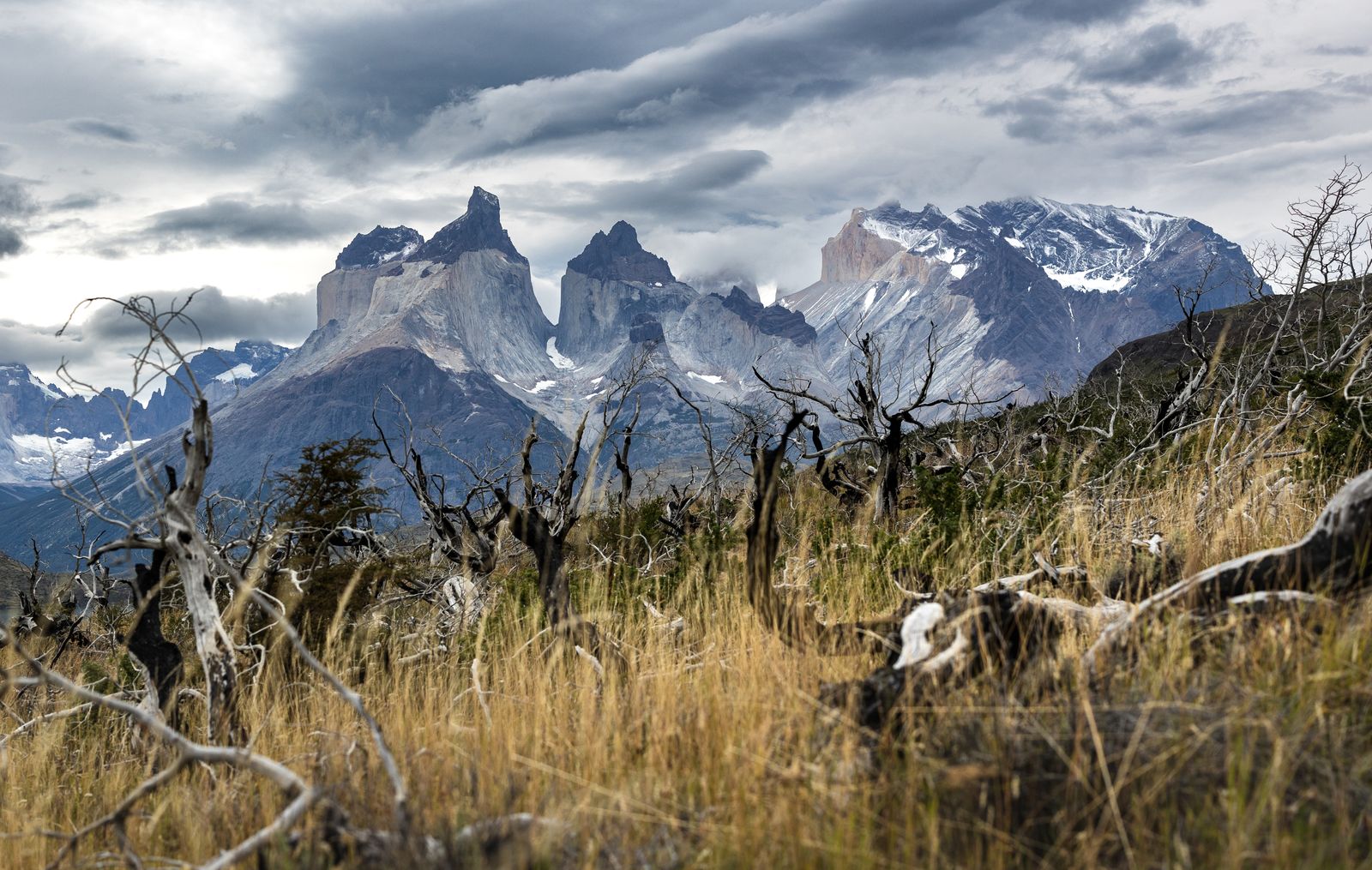 The Cuernos del Paine rising above wind-burnt grassland