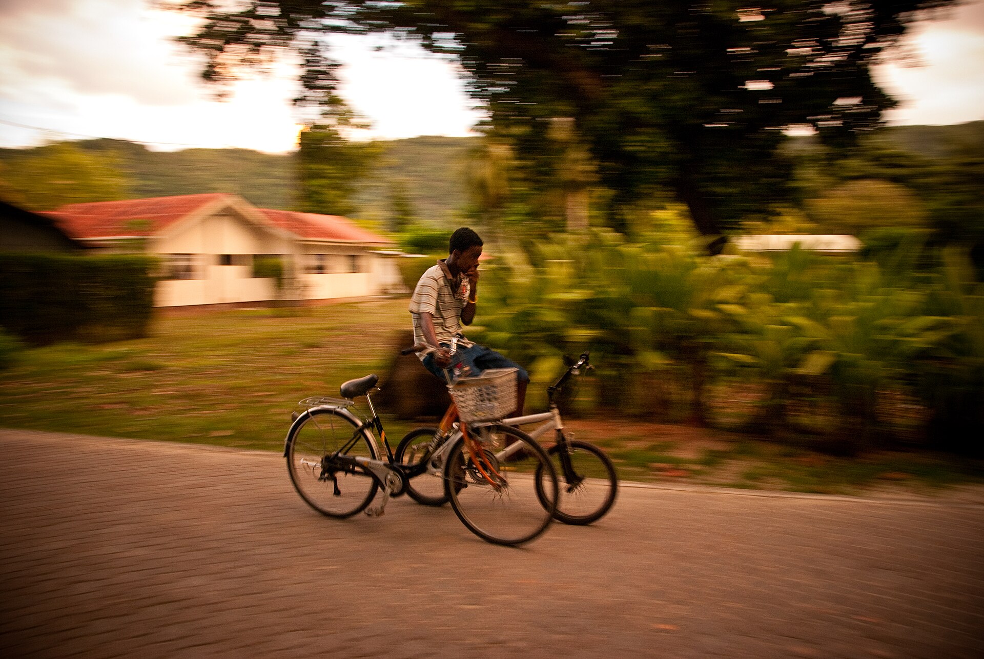 Cyclist on a palm-lined road on car-free La Digue