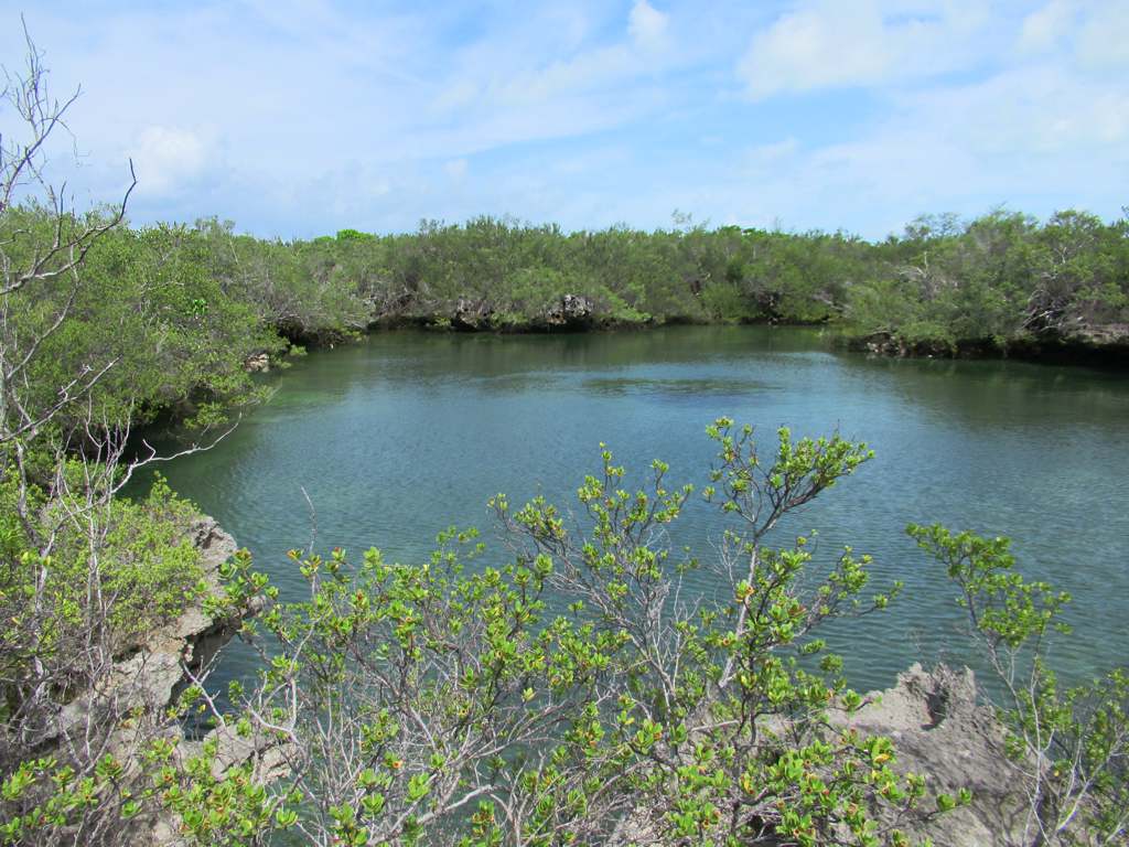 The shallow lagoon inside remote Aldabra Atoll