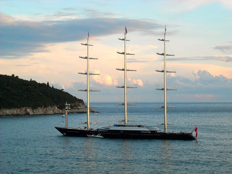 Maltese Falcon